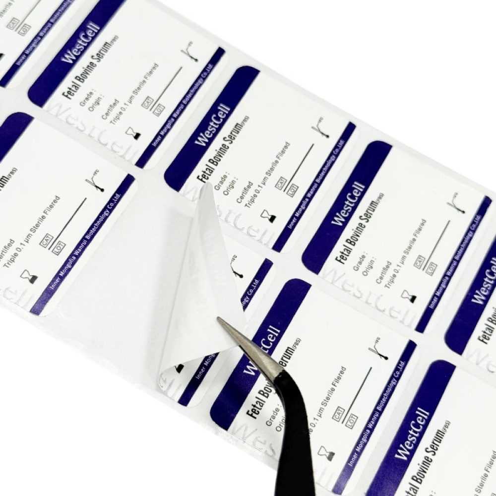 Medical-grade labels