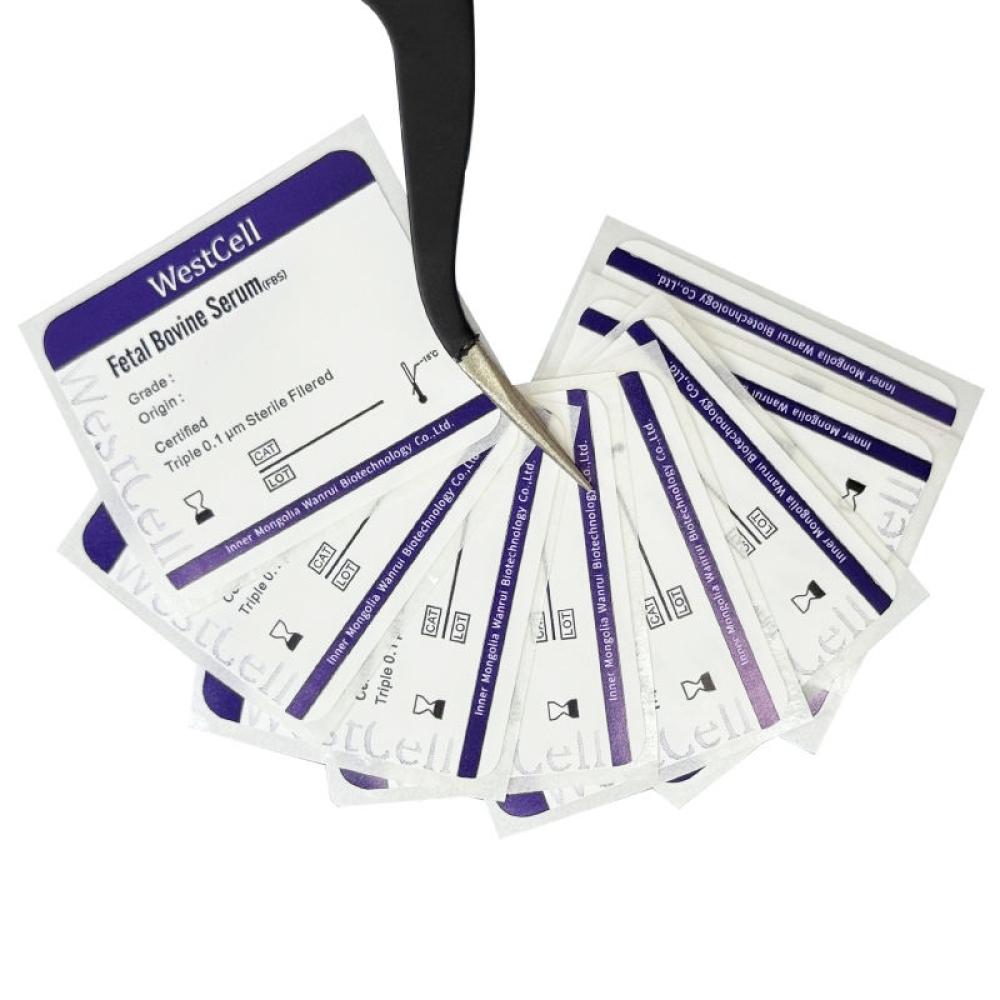 Medical-grade labels